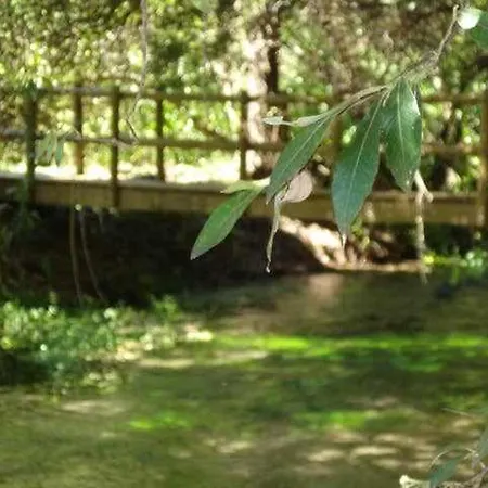 Casa Antiga *